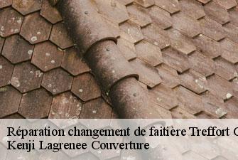 Réparation changement de faitière treffort-cuisiat-01370 Kenji Lagrenee Couverture