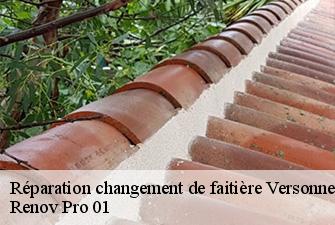 Réparation changement de faitière  versonnex-01210 Renov Pro 01