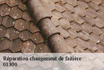 Réparation changement de faitière  virignin-01300 Beaudier Couverture 