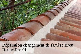 Réparation changement de faitière  brou-01000 Renov Pro 01