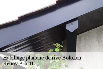 Habillage planche de rive  bolozon-01450 Renov Pro 01
