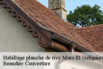 Habillage planche de rive  murs-et-gelignieux-01300 Beaudier Couverture 