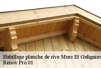 Habillage planche de rive  murs-et-gelignieux-01300 Renov Pro 01