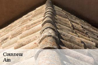 Couvreur 01 Ain Kenji Lagrenee Couverture