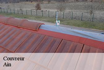 Couvreur 01 Ain  Renov Pro 01