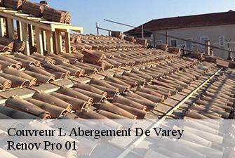 Couvreur  l-abergement-de-varey-01640 Renov Pro 01