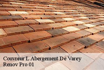Couvreur  l-abergement-de-varey-01640 Renov Pro 01