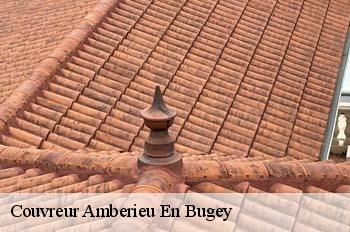 Couvreur  amberieu-en-bugey-01500 