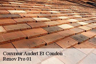 Couvreur andert-et-condon-01300 Renov Pro 01