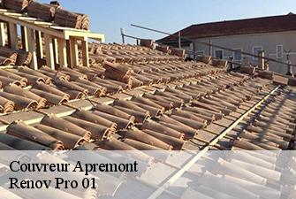 Couvreur  apremont-01100 Renov Pro 01