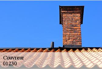 Couvreur  arandas-01230 Renov Pro 01