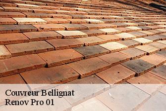 Couvreur bellignat-01810 Renov Pro 01