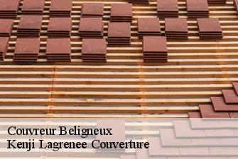 Couvreur beligneux-01360 Kenji Lagrenee Couverture