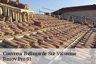Couvreur  bellegarde-sur-valserine-01200 Renov Pro 01