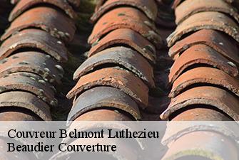 Couvreur  belmont-luthezieu-01260 Beaudier Couverture 
