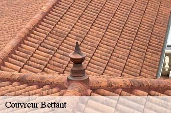 Couvreur  bettant-01500 