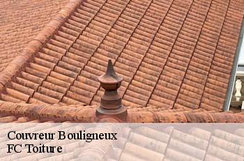 Couvreur  bouligneux-01330 FC Toiture