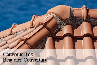 Couvreur  boz-01190 Beaudier Couverture 