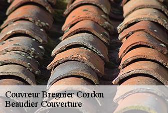 Couvreur  bregnier-cordon-01300 Beaudier Couverture 
