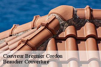 Couvreur  bregnier-cordon-01300 Beaudier Couverture 