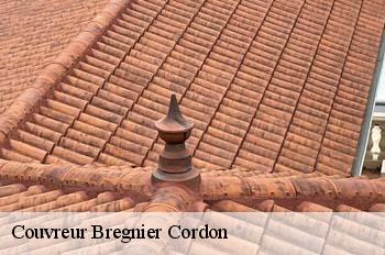Couvreur  bregnier-cordon-01300 