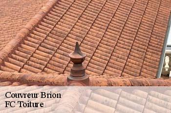 Couvreur  brion-01460 