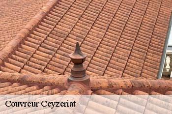 Couvreur  ceyzeriat-01250 
