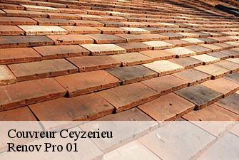Couvreur  ceyzerieu-01350 Renov Pro 01