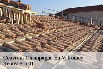 Couvreur  champagne-en-valromey-01260 Renov Pro 01