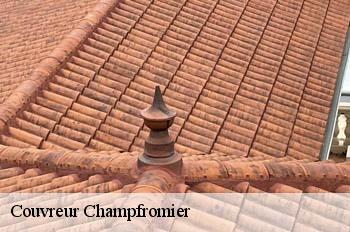 Couvreur  champfromier-01410 