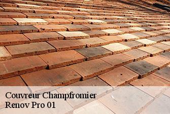Couvreur champfromier-01410 Renov Pro 01