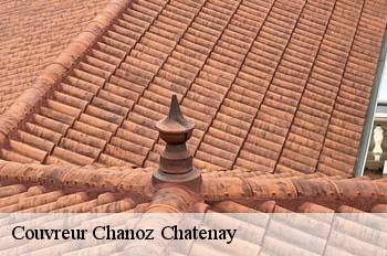 Couvreur  chanoz-chatenay-01400 