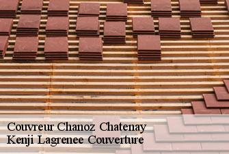 Couvreur chanoz-chatenay-01400 Kenji Lagrenee Couverture