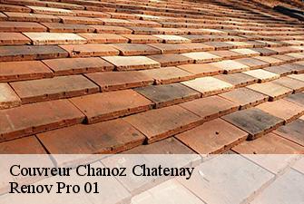 Couvreur chanoz-chatenay-01400 Renov Pro 01