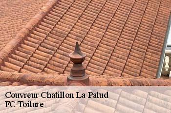 Couvreur  chatillon-la-palud-01320 