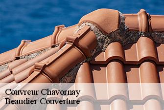 Couvreur  chavornay-01510 Beaudier Couverture 