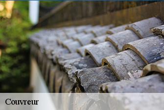 Couvreur  chazey-bons-01300 Beaudier Couverture 
