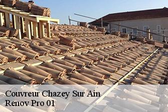 Couvreur  chazey-sur-ain-01150 Renov Pro 01