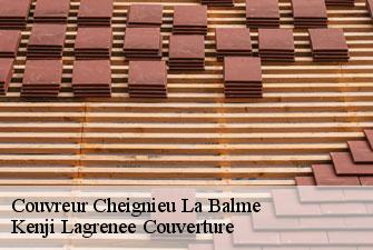 Couvreur cheignieu-la-balme-01510 Kenji Lagrenee Couverture