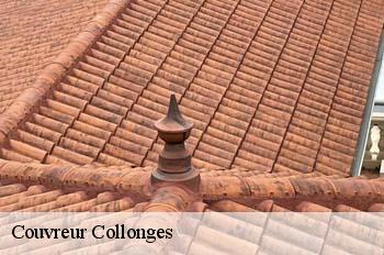 Couvreur  collonges-01550 
