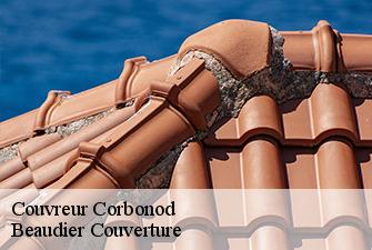 Couvreur  corbonod-01420 Beaudier Couverture 