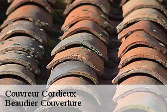 Couvreur  cordieux-01120 Beaudier Couverture 