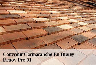 Couvreur  cormaranche-en-bugey-01110 Renov Pro 01