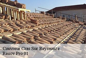 Couvreur  cras-sur-reyssouze-01340 Renov Pro 01