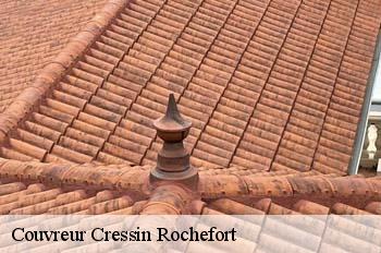 Couvreur  cressin-rochefort-01350 