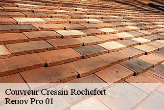 Couvreur cressin-rochefort-01350 Renov Pro 01