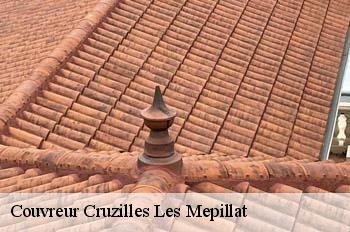 Couvreur  cruzilles-les-mepillat-01290 