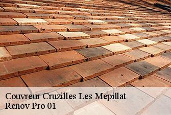 Couvreur cruzilles-les-mepillat-01290 Renov Pro 01