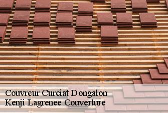 Couvreur curciat-dongalon-01560 Kenji Lagrenee Couverture