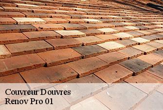 Couvreur  douvres-01500 Renov Pro 01